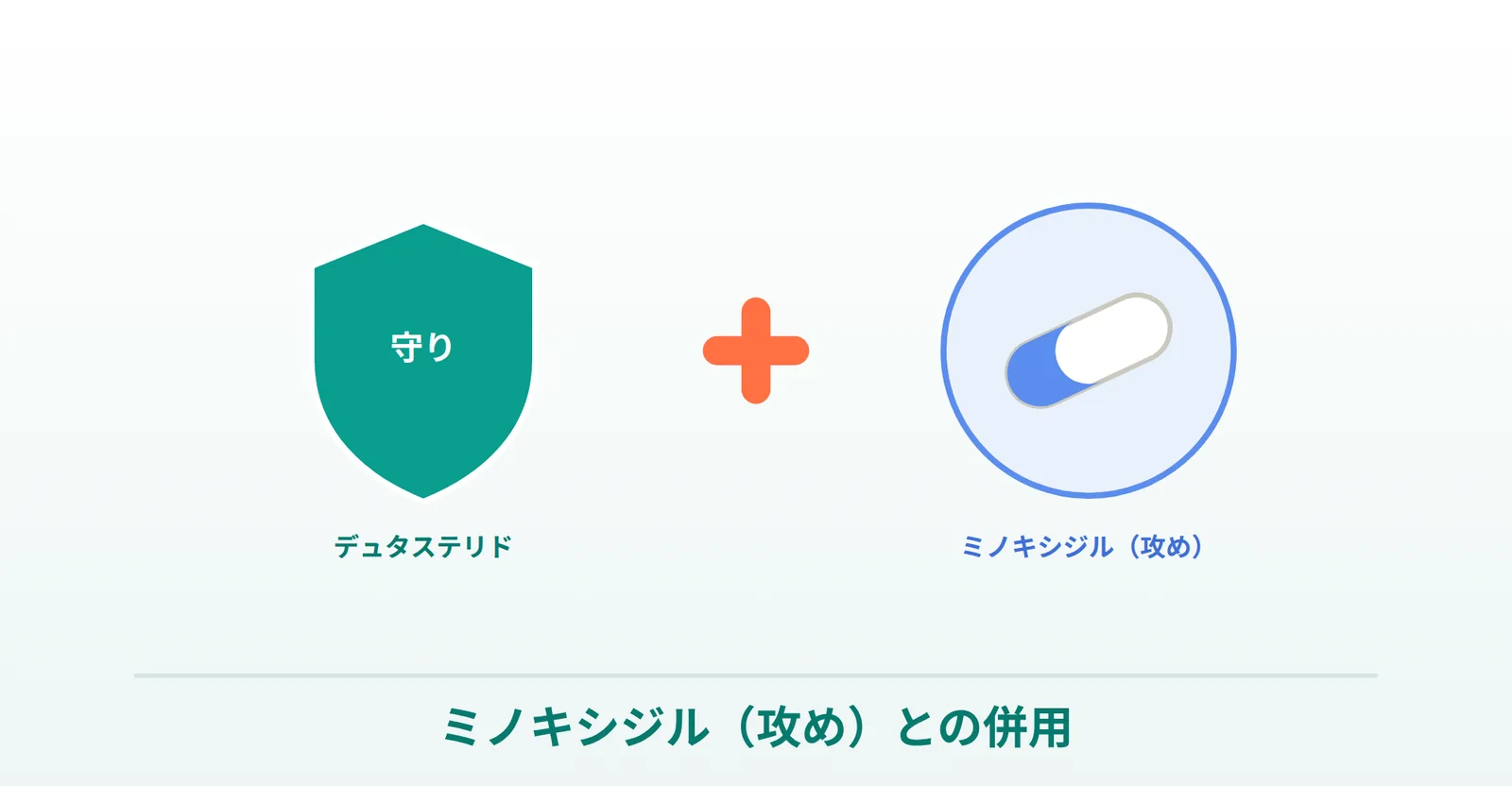 守り（デュタステリド）＋攻め（ミノキシジル）の併用を表した画像