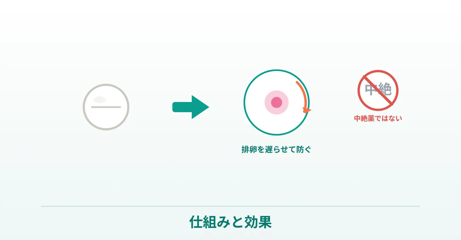 ノルレボ錠が排卵を遅らせて妊娠を防ぐ仕組み・中絶薬ではないことを表したイラスト