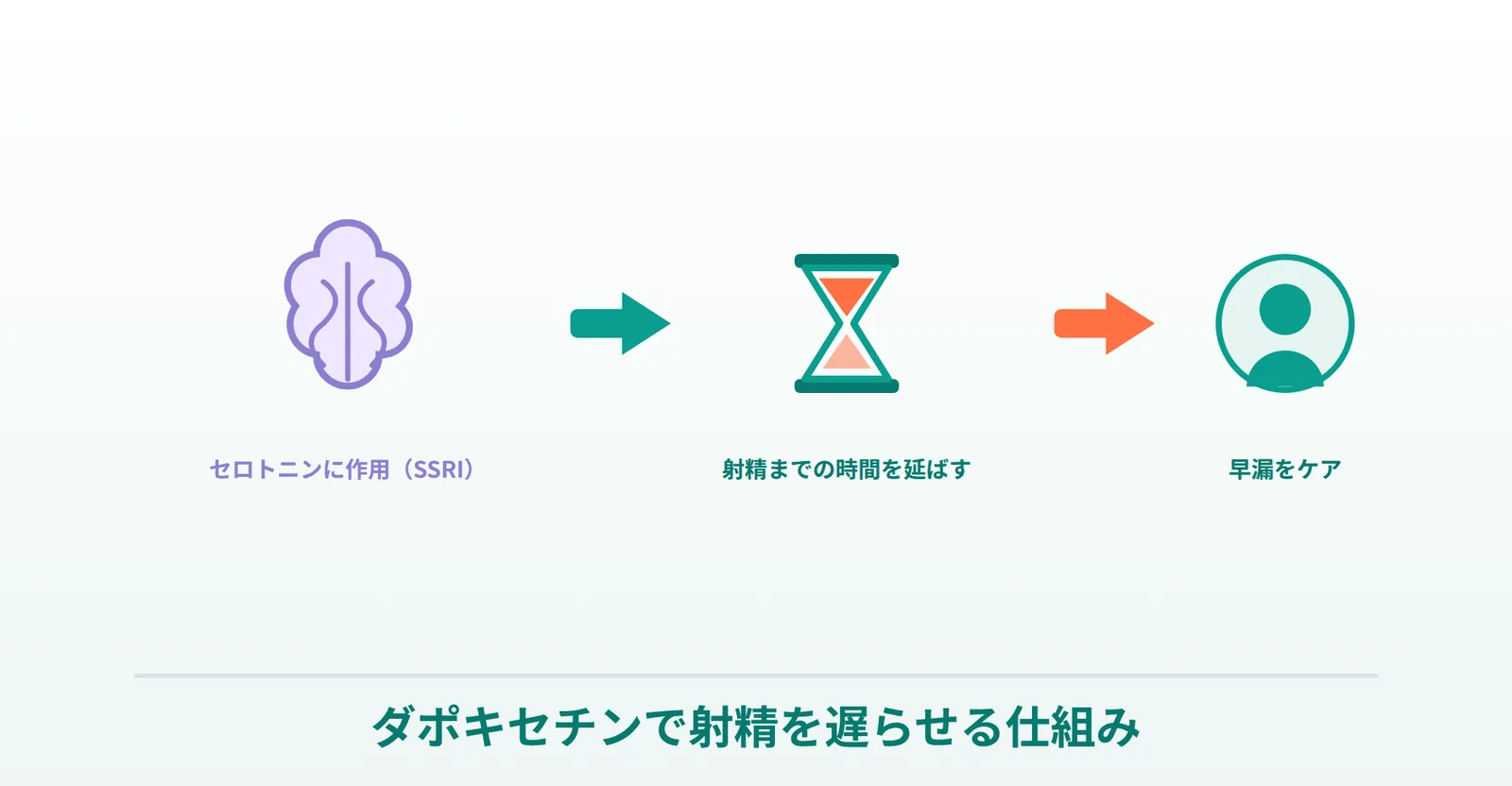 ダポキセチンがセロトニンに作用し、射精までの時間を延ばして早漏をケアする仕組みのイラスト