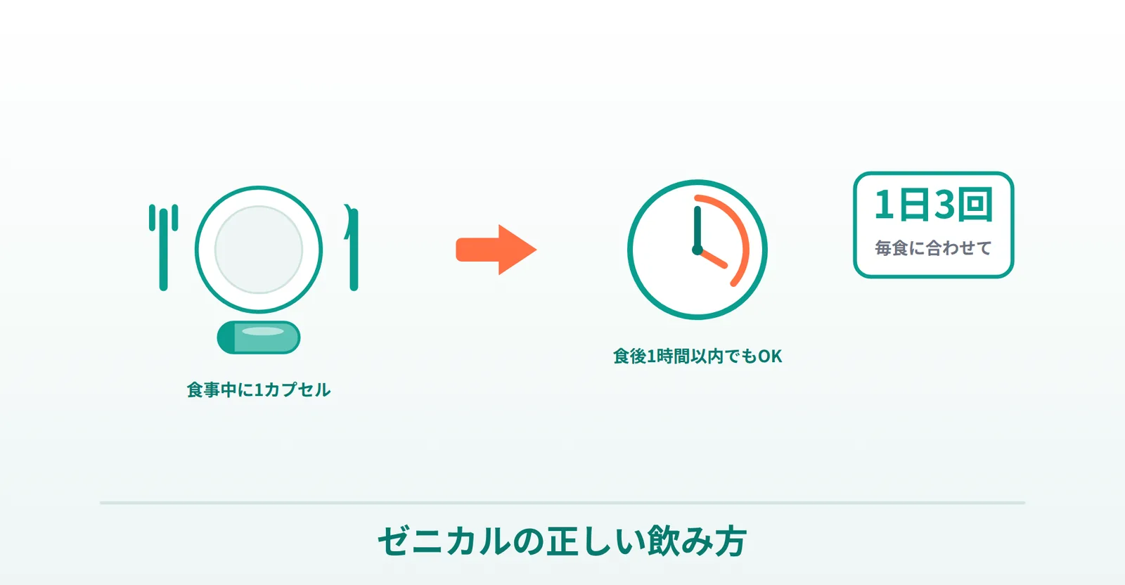 ゼニカルの正しい飲み方（食事中〜食後1時間以内・1日3回・毎食に合わせて）を表したイラスト